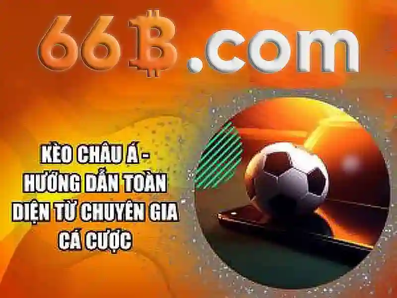 Hình ảnh tổng quan 66b và da ga