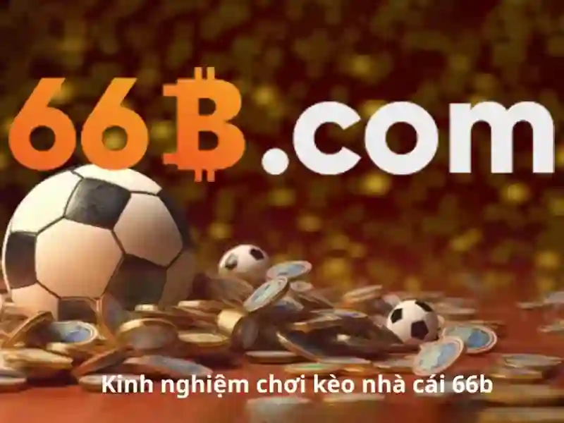 Các đặc tính của 66B