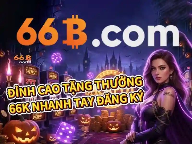 66b là gì trong thống kê và thế mạnh
