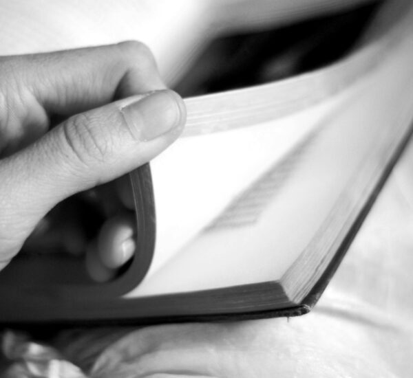 kitaaba xiin-sammuu pdf download