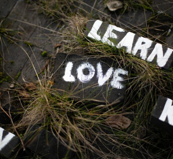 Get Five Best Walaloo jaalala dhugaa 2025